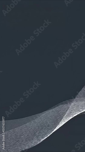 Abstract Dark Grey and White Wave Design