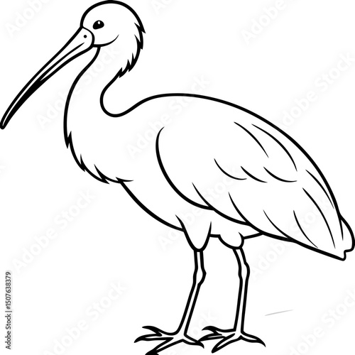 Eurasian Spoonbill Vector on White Background