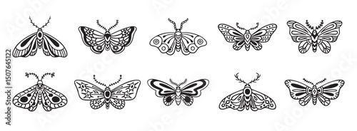 Moth doodle hand drawn icon set. Outline drawing moth line clipart symbol collection
