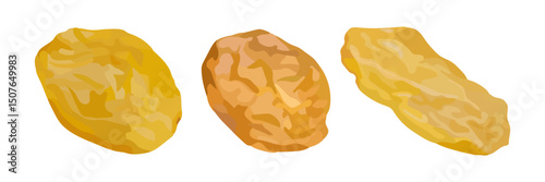 Close-up illustration of three golden raisins isolated on white, ideal for food packaging, nutrition blogs, or healthy snack concepts