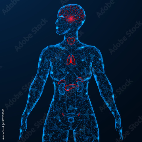 The organs of a woman's endocrine system. Polygonal design of interconnected lines and dots. Blue background.