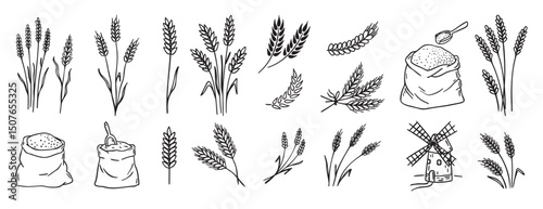 wheat and cereal plants, rye barley and ears of wheat in bag doodle hand drawn icon set. Outline drawing ears of wheat line clipart symbol collection