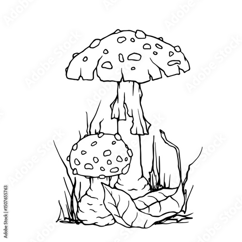 Linear sketch of autumn compositions of fly agaric mushrooms and forest plants. Vector graphics.