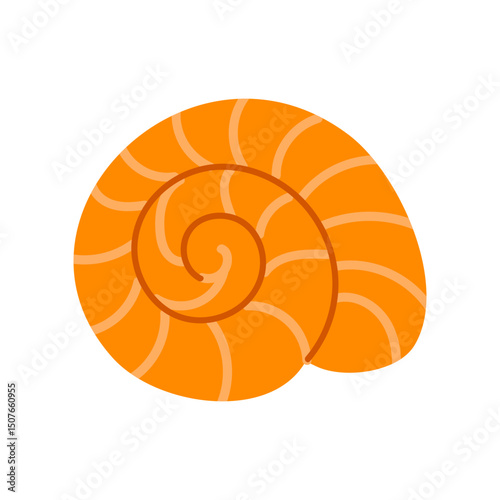 Round orange shell with tight spiral pattern