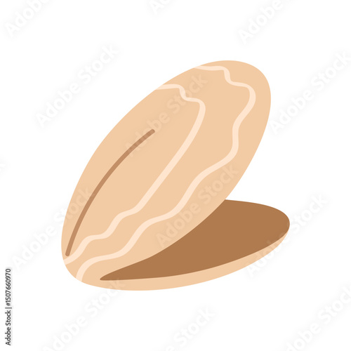 Flat beige mollusk shell with visible inner part