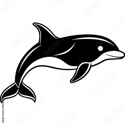 Pilot Whale Vector on White