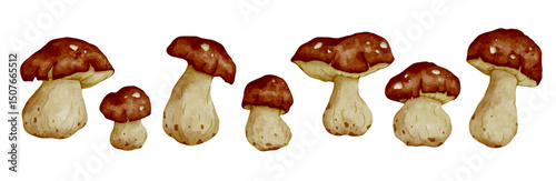 Set of colorful forest porcini mushrooms. Vector graphics.