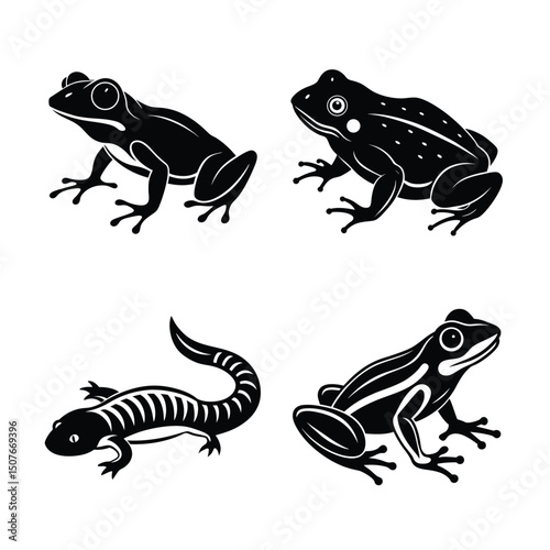 Amphibians animal vector silhouette bundle set