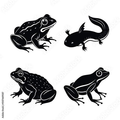 Amphibians animal vector silhouette bundle set