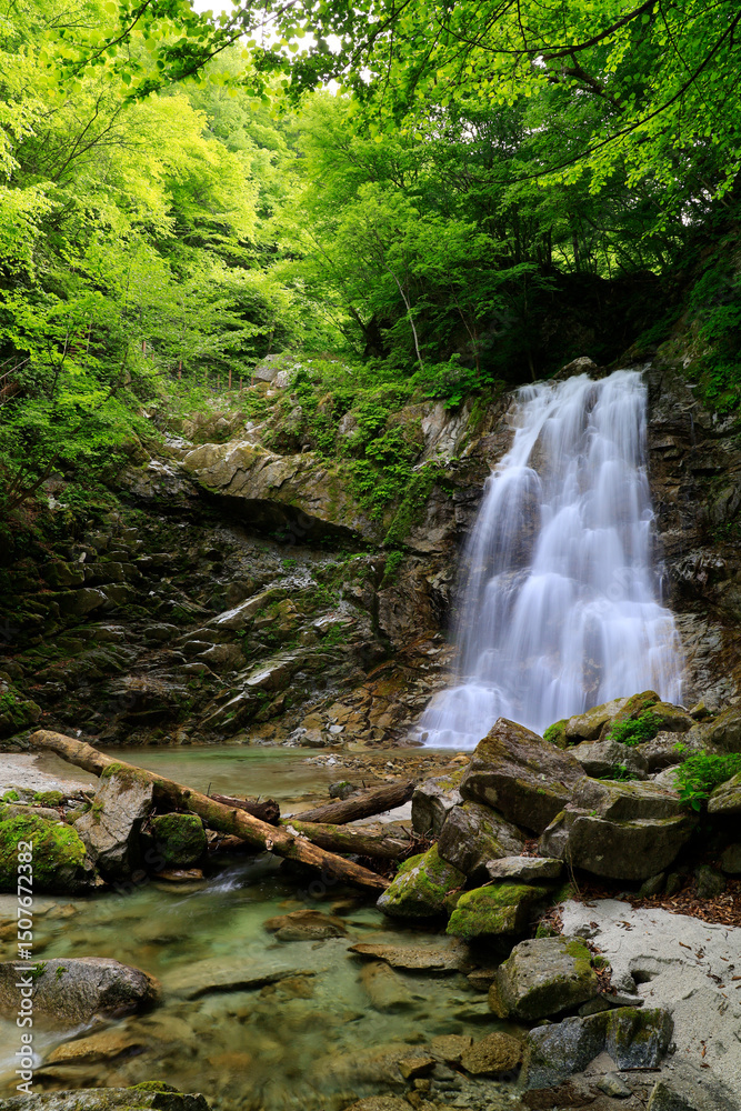 Obraz premium 新緑の石空川渓谷