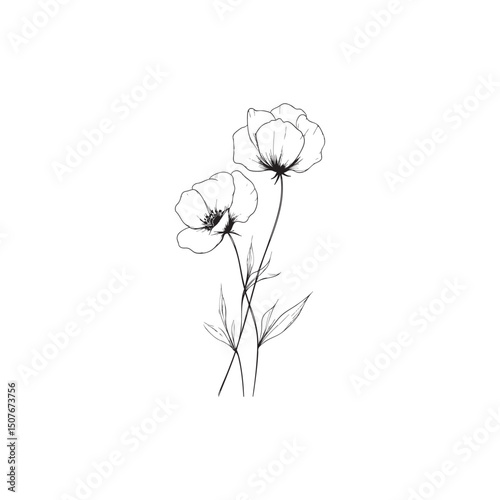 wildflower line art botanical drawings 