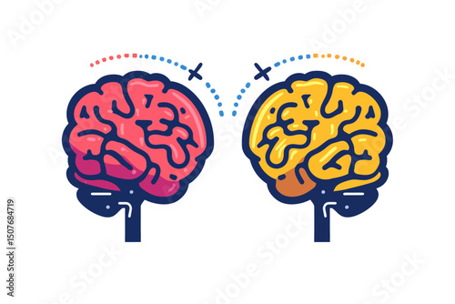 The brain's hemispheres have areas with a single gyrus and areas with multiple gyri