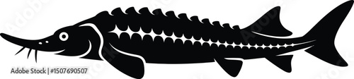 Sturgeon Fish Silhouette Vector