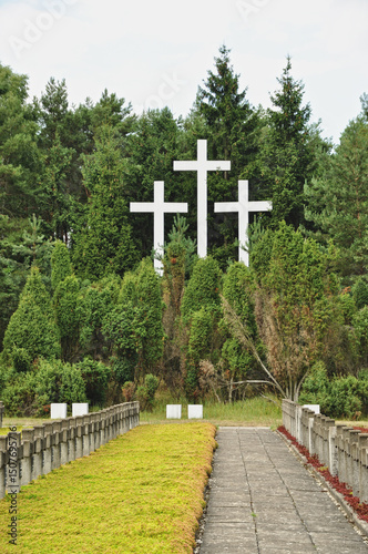  Three white crosses among trees in a green forest at a cemetery full of concrete crosses photo