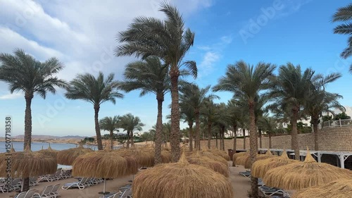 Glistening water meets a stretch of sandy beach lined with palm trees and straw huts. Visitors enjoy a tranquil atmosphere under a bright blue sky, soaking in the sun by the shore.