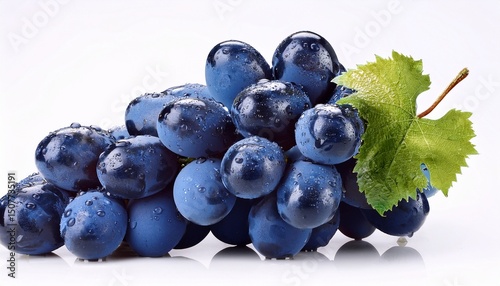 blue wet grapes bunch isolated on white background