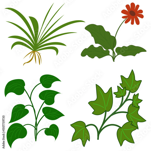 Plant collection illustration. Green leaf variety. Red flower accent. Vector drawing.