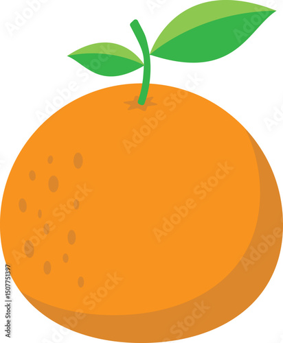 vector illustration of orange fruit