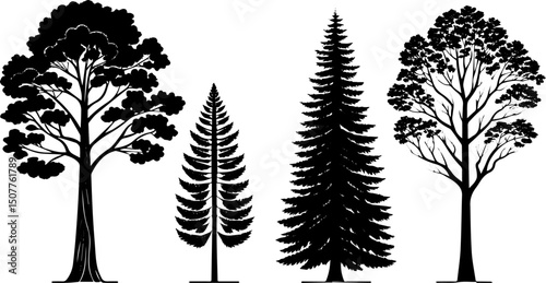 Tree Silhouette Vector Set, Detailed Evergreen and Deciduous Tree Illustrations for Nature and Landscape Design