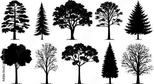 Tree Silhouette Vector Collection, Diverse Deciduous and Evergreen Trees for Nature and Landscape Design
