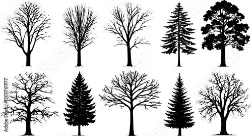 Tree Silhouette Vector Collection, Black Forest and Seasonal Trees for Nature, Landscape, and Environment Designs
