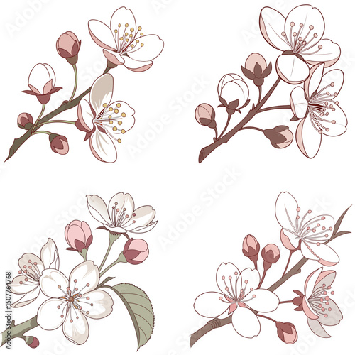  A soft apple blossom icon with white and pink 
petals.