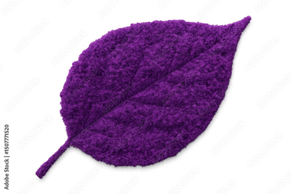 Fototapeta premium Vibrant purple fuzzy leaf floating, representing botanical elegance and natural growth against transparent backdrop