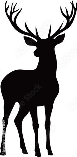 Handsome Bucks Vector