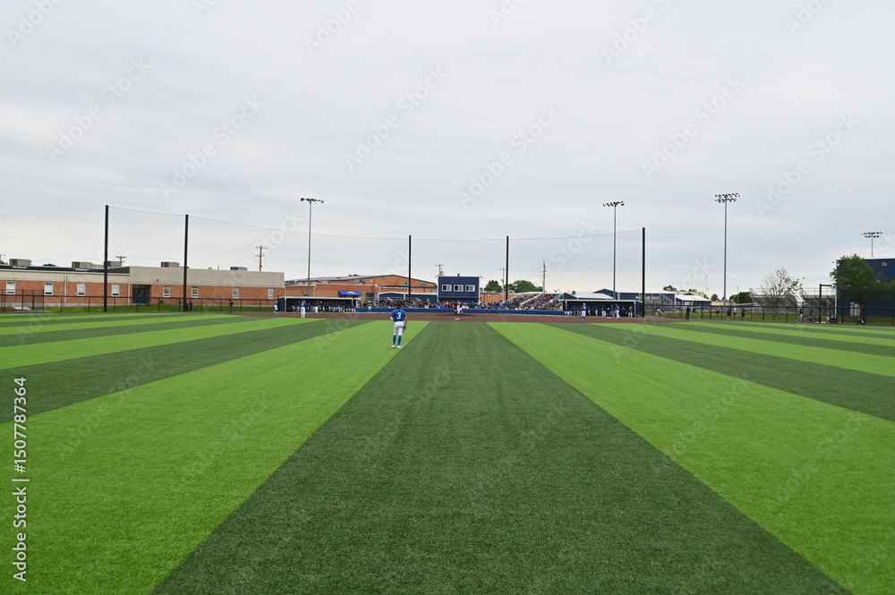 Obraz premium Artificial Turf on a Baseball Field