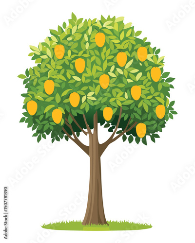 Mango tree with many fruits