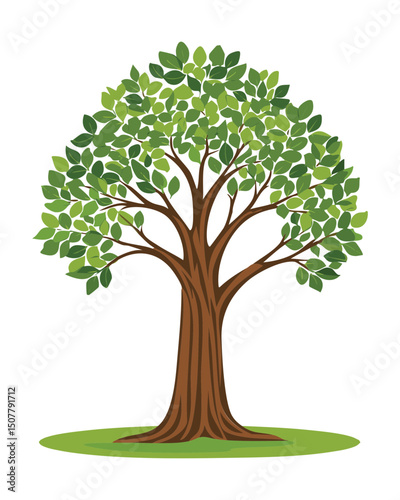 Lush green tree with a round crown