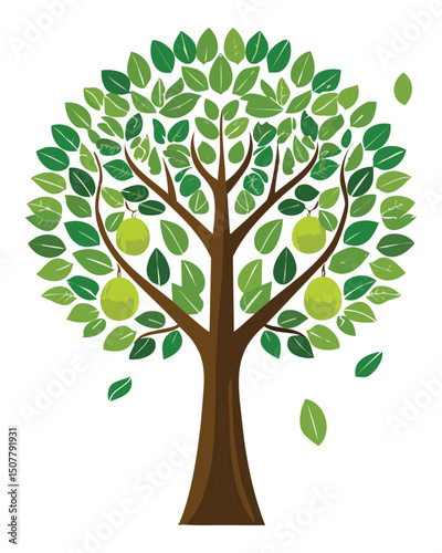 Apple tree with fresh green apples