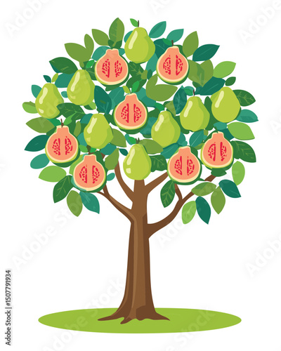 Exotic fruit tree illustration 