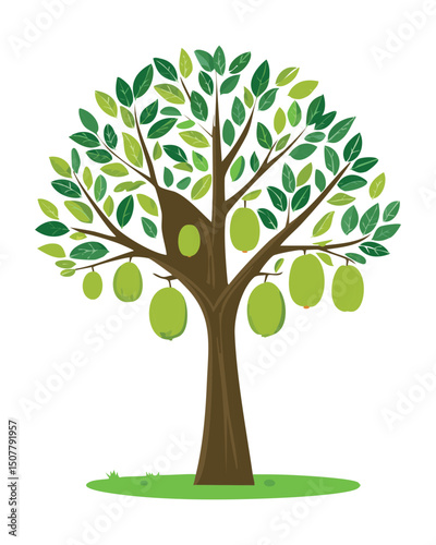 Jackfruit tree abundant with ripe fruits