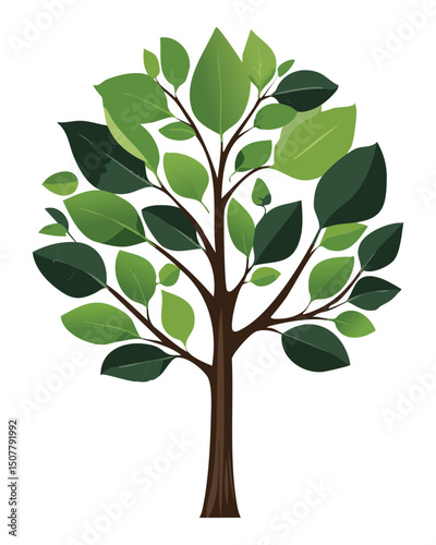 Broad leafy tree with vibrant green