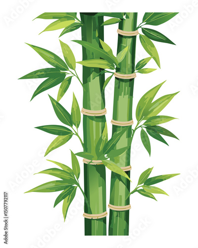 Close up bamboo stalks with detailed nodes
