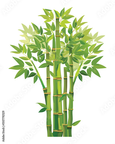 Bamboo stalks with sparse green leaves