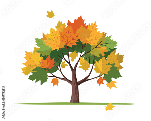 Autumn Maple Tree Falling Leaves