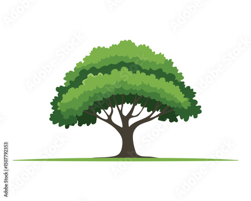 Spreading Green Tree Nature
