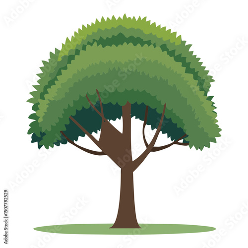 Lush Round Green Tree Canopy