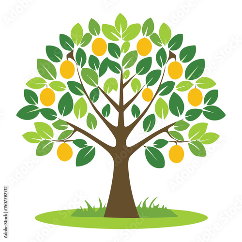 Fresh Orange Harvest Plant