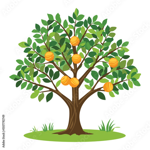 Ripe Orange Citrus Tree