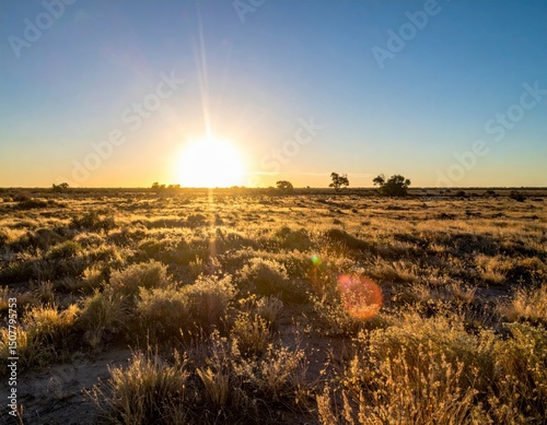 Majestic Sunrise Over Expansive Grassland in Arid Landscape