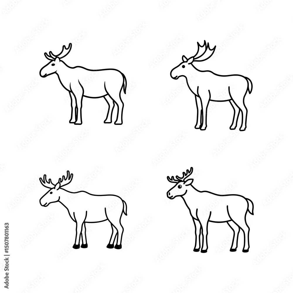 Fototapeta premium Vector illustration of Moose line art