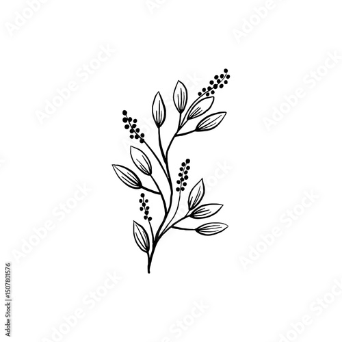 botanical illustration
hand drawn leaves
minimalist flower
nature vector
tattoo design
foliage
black and white plant
herbal clipart