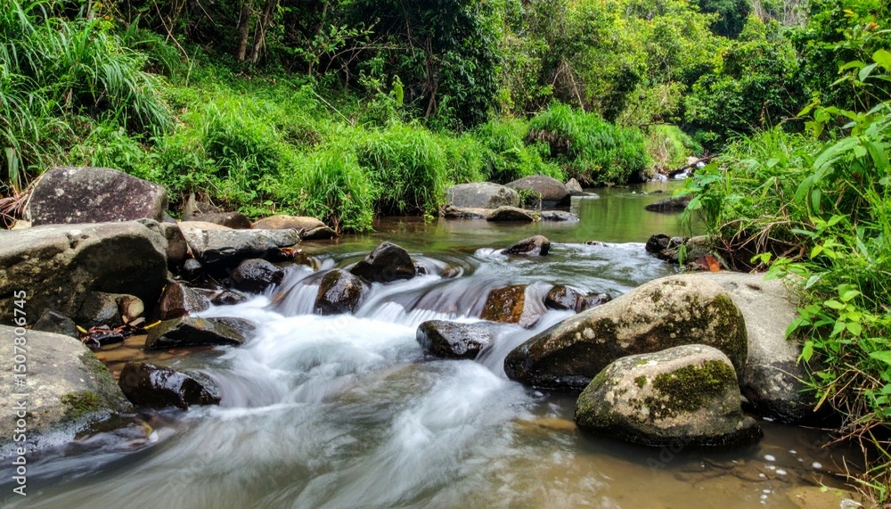 Obraz premium Gentle Stream Flowing Through Lush Green Landscape on a Sunny Day