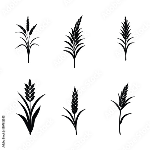 elegant rice plant art illustration, rice plant silhouette, vector clipart.