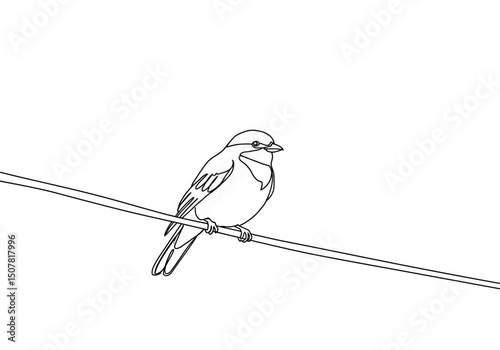 Bird on a wire drawing. This black and white outline depicts a small bird perched on a thin wire, a common sight in urban and rural landscapes. Vector sketch line art draw.
