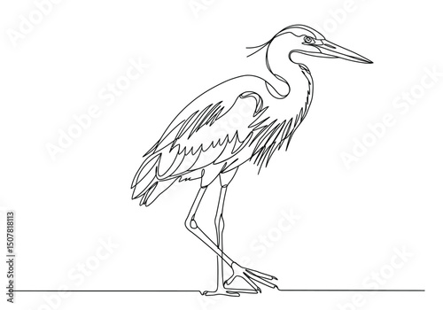 Blue heron drawing. This black and white outline depicts a majestic blue heron, a tall wading bird known for its elegant posture and presence near water. Vector sketch line art draw.