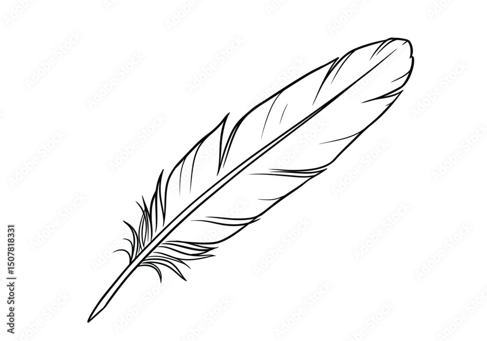 Obraz premium Crow feather drawing. This black and white outline depicts a single crow feather, highlighting its delicate structure and graceful form. Vector sketch line art draw.